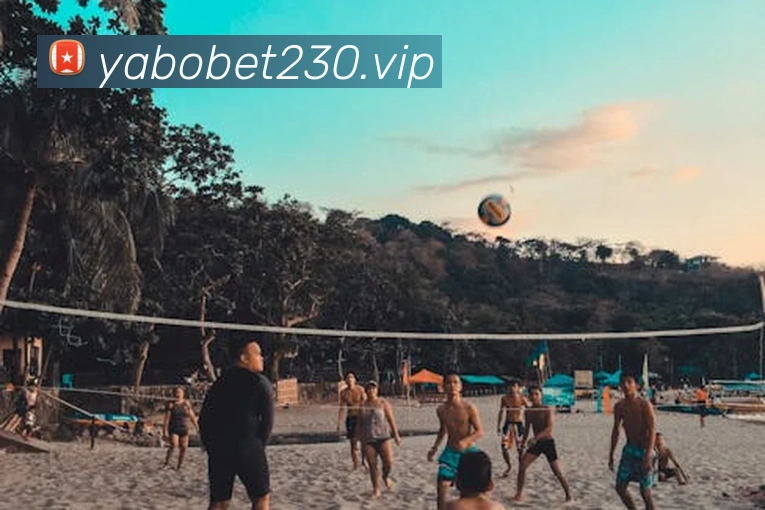 亚博体育服务体系